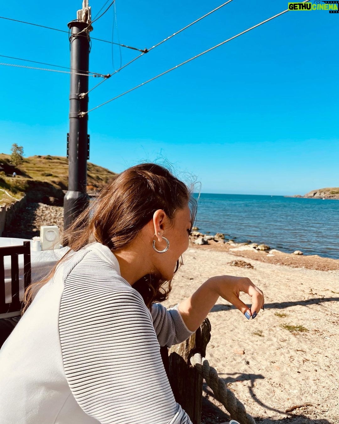 Aslı Enver Instagram - Arı vızvızvız 🐝 Dünya'da Bir Yer
