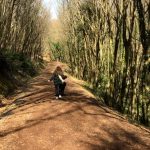 Aslı Enver Instagram – gün sonu ❣️