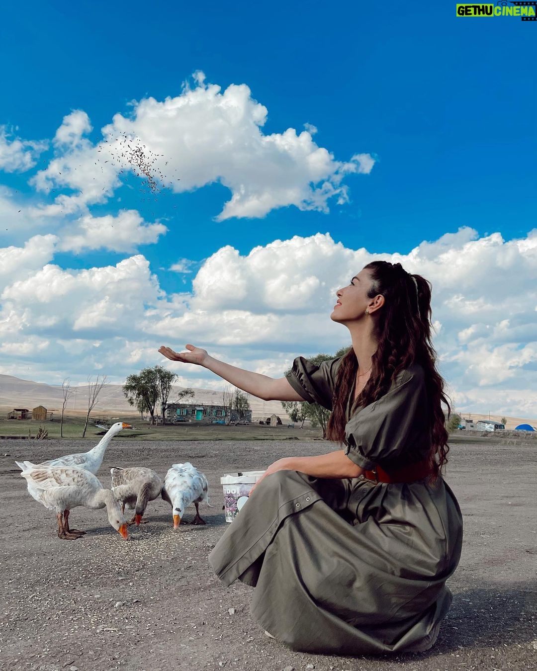 Aslıhan Güner - 336.3K Likes - Tam şu an..🍀😄🤟🏻
Kars..⛰
Tatlış Kazlarım.. 🦆
Ve ben ♥️
📷 : @gulaytekeli 💕