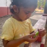 Aswathy Sreekanth Instagram - കമല ഇലുമ്പി പുളി തിന്ന കഥ 😁 ഇരുമ്പൻ പുളി, ഇലുമ്പിക്ക, പുളിഞ്ചി അങ്ങനെ പല പേരും പറയുന്ന ഐറ്റം ആണ്. നിങ്ങളിതിന് എന്താ പറയാറ് ? ഞങ്ങളിതിട്ട് മീൻ കറി വയ്ക്കാറുണ്ട്. Share if you have any interesting recipes with this 😁❤️