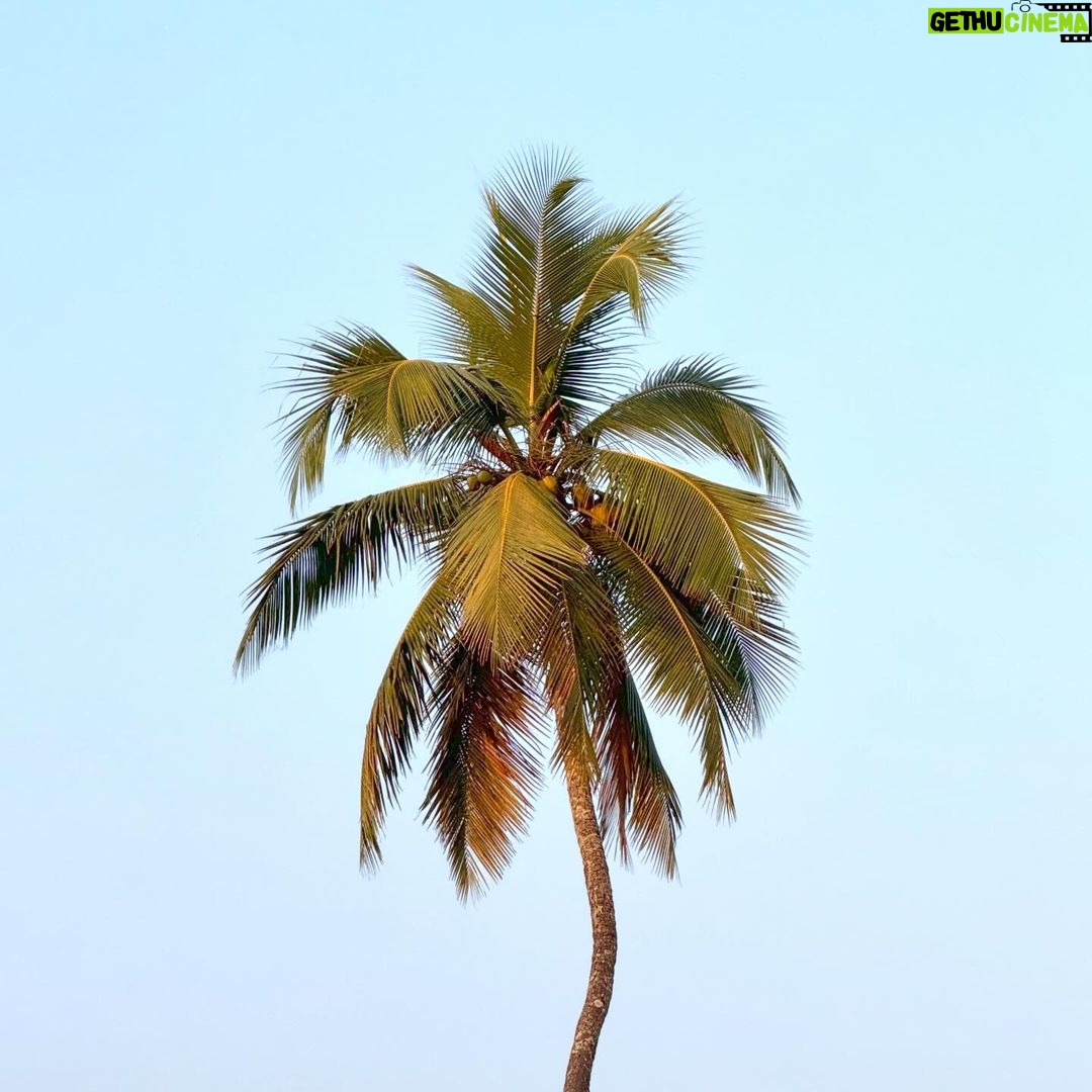 Athiya Shetty Instagram - never forget your roots and youโll never forget where youโre going ๐บ๐๐ฝ๐๐ชฝโจ๐ Mulky, Mangalore