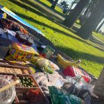 August Alsina Instagram - Quick lil picnic joce, 🧺 smelling like a Lé JOCE!! 🪄 (hit the link in the bio to bring some love into your life) it’s the magic potion. 🧪
