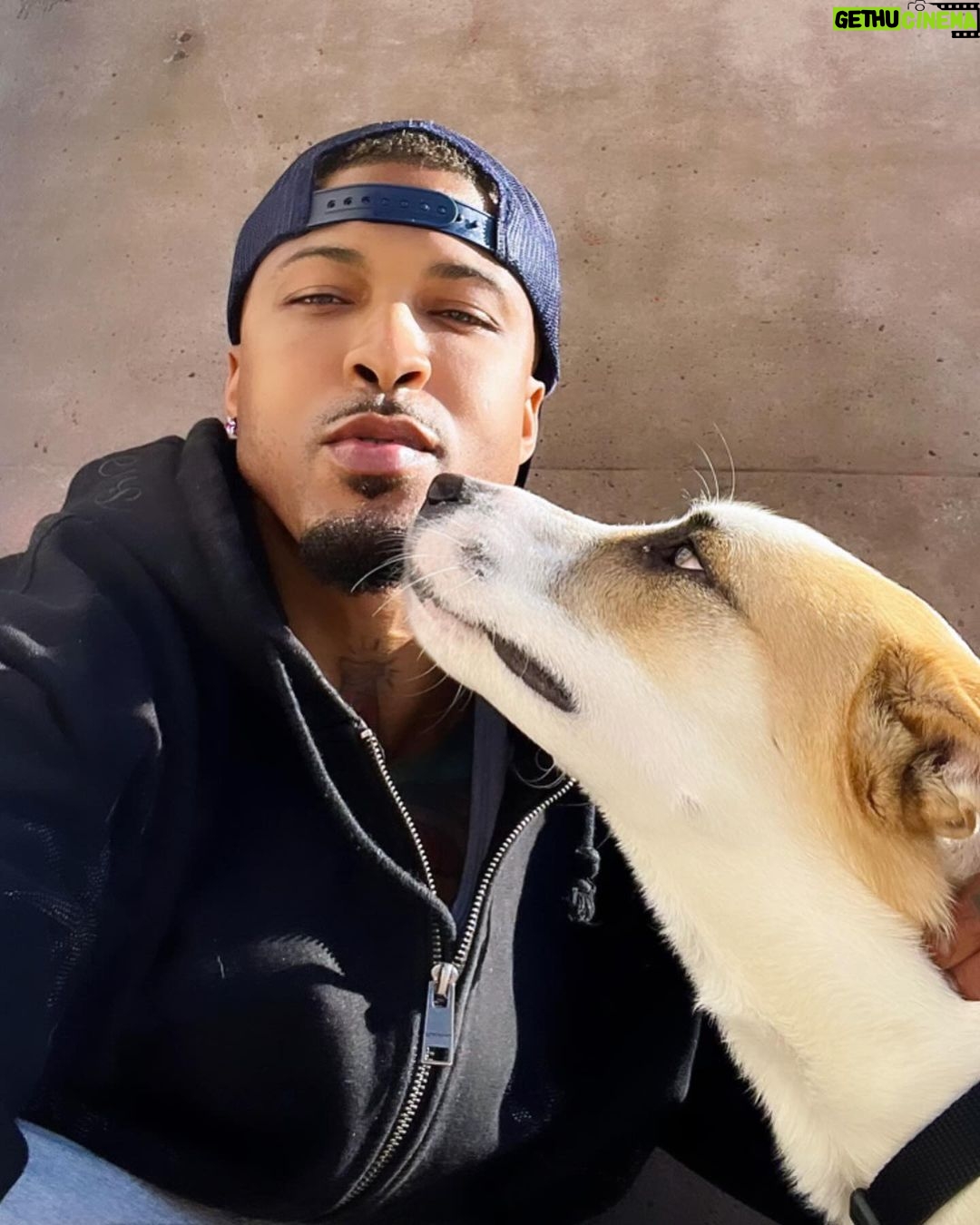 August Alsina Instagram - Tryna pet dat doggggg?!! 😅🐶