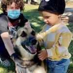 August Maturo Instagram - Many of you are participating in the #bettywhitechallenge today, so I wanted to make a suggestion of a shelter that could REALLY use your $5.00 donation! 🙏🙏🙏  @animalloverescue  center in Costa Rica has reached out to me because they need urgent help! Animal Love Rescue center is a non-profit no-kill charitable shelter that takes care of 450 dogs and 350 cats, in addition to sheep, goats, geese, ducks, horses, and others (1200 animals in total). Most of them came to the center after being mistreated, wounded, paralyzed, or abandoned, scroll for pics - (The 1st pic is my dog Sailor Moon, a rescue we adopted.) If it weren’t for shelters, so many animals would never find homes or the care they need. The rescue center was funded by the hotel “Lands in love”, which stopped receiving guests from the middle of March 2020 as a result of the COVID-19 world crisis. That means that they have no funds to keep the shelter running and their dogs and cats and the rest of the animals are at risk of getting to the point of starvation and eventually of being released to the streets. Making matters even worse, for the past month huge number of cats and dogs  have been abandoned in their center every day and because of the lack of room in their center for them, they are living currently in the office, garages, and toilets. Check the link for donations in their bio @animalloverescue (there will also be a link in my bio) and please help 1200 animals survive! Sailor says thanks in advance 🐶