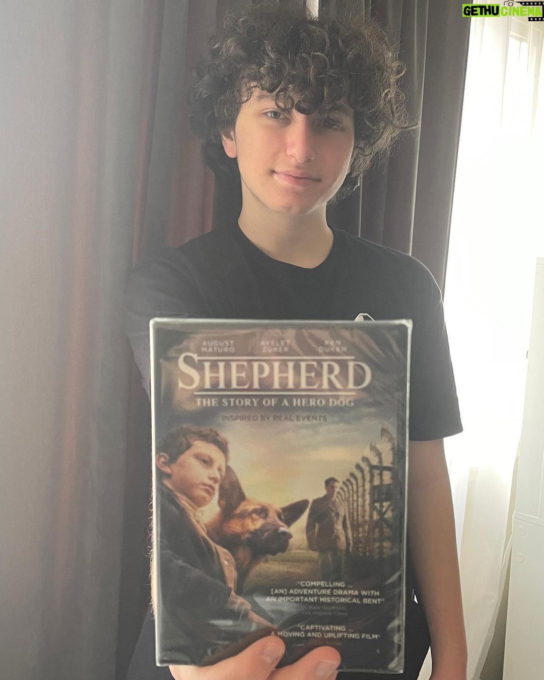 August Maturo Instagram - š«¶best Valentineās Day ever - Shepherd is now available in the US/Canada on Blu Ray, DVD & Digital/Streaming