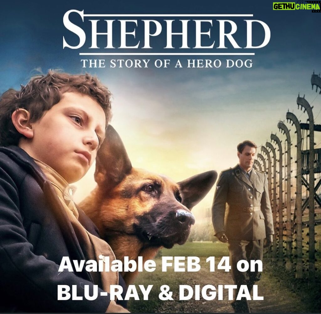 August Maturo Instagram - ❤️Feb 14, you can finally stream my film SHEPHERD here in the US/Canada on digital (Apple, Amazon, Google, Google/YouTube, Xbox Movies, RedBox Digital and InDemand) and it’s also available for purchase on Blu-Ray & DVD on Amazon! If you love dogs & history, you will love this film! #shepherdthestoryofaherodog