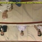 Augusto Nunes Instagram - #tbt Em 1989, durante a minha primeira passagem pelo comando do Roda Viva, tive o prazer de entrevistar Millôr Fernandes. Foi a única entrevista longa concedida à TV pelo maior pensador brasileiro. Vale a pena rever alguns momentos #jornalismo #noticias #foryou