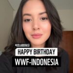 Aurélie Moeremans Instagram - Pada 11 September, WWF-Indonesia berulang tahun 🎉 Tahun ini, kami berumur 61 tahun! Semoga kita bisa terus dukung konservasi alam kita bersama-sama. Sebagai sesama pendukung konservasi, yuk dengar kata Aurel dalam merayakan momen ini! #HUTWWFID #NatureMatters #Connect2Earth #TogetherPossible