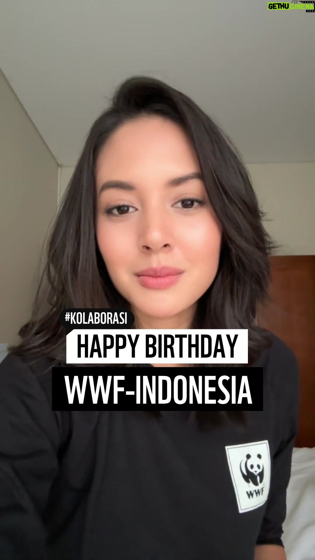 Aurélie Moeremans Instagram - Pada 11 September, WWF-Indonesia berulang tahun 🎉 Tahun ini, kami berumur 61 tahun! Semoga kita bisa terus dukung konservasi alam kita bersama-sama. Sebagai sesama pendukung konservasi, yuk dengar kata Aurel dalam merayakan momen ini! #HUTWWFID #NatureMatters #Connect2Earth #TogetherPossible