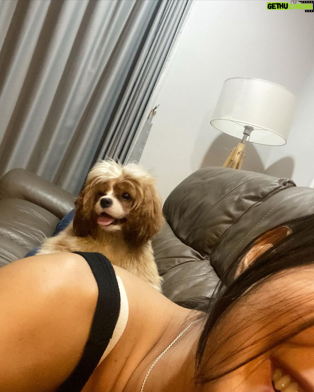 Aurélie Moeremans Instagram - Cerita gemas hari ini ✨ Jadi semalem aku pulang ke rumah tuh dalam keadan sakiiiit semua badan aku.. Perut kacau balau, sebadan pegel maksimal tulang dan sendinya.. Ternyata alergi obat yang dikasih dokter dan disuruh langsung stop semua obat dan minum susu anget yang banyak biar netral.. Aku sampe rumah minta dipijitin mama aku saking gak kuat pegalnya ( padahal aku ga suka dipijit biasanya ). Mama bantu pijitin, terus pas mama ke kamar ngambil sesuatu, Cookie langsung naik ke atas punggun aku ambil posisi mama terus belagak mijitin aku gitu 🥹 LUCU BANGET YAAMPUN! Berasa banget my doggies tuh bisa ngerasain kalau aku lagi sakit, mereka jadi sweeeeet banget..