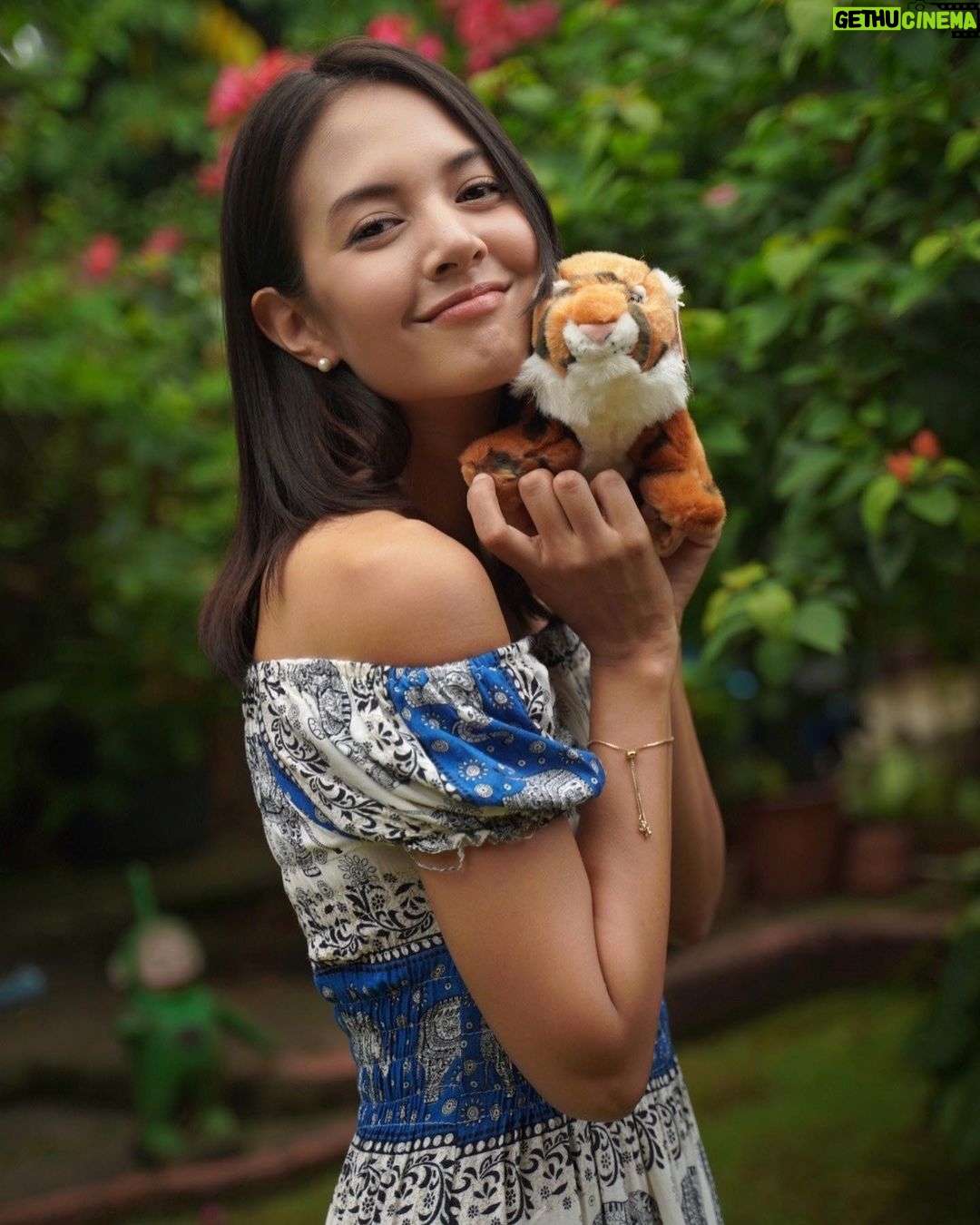 Aurélie Moeremans Instagram - Ikutan #StripesAroundYou Challenge dari @wwf_id ah 🪇 Yuk, ikut melestarikan Harimau Sumatra 🐅 ( Tinggal sekitar 600 an di alam! ) Caranya : Kalaupun mampu, JANGAN pernah beli! Kasihan kan…… Jangan konsumsi dan laporkan ketika kamu mengetahui adanya perdagangan liar di sekitar kamu!