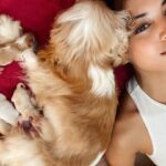 Aurélie Moeremans Instagram - I’m officially a grandma 🥹 Nutella kemarin malam tiba-tiba ngelahirin 5 anak anjing dong ( ada satu yang ga selamat 🥲 RIP ) padahal ga ada yang tau dia hamil! Shock berat sih, tapi kok menggemasman sekali 🥰 #cockerspaniel Jakarta, Indonesia