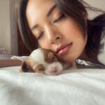 Aurélie Moeremans Instagram - Cuteness overload 🥹