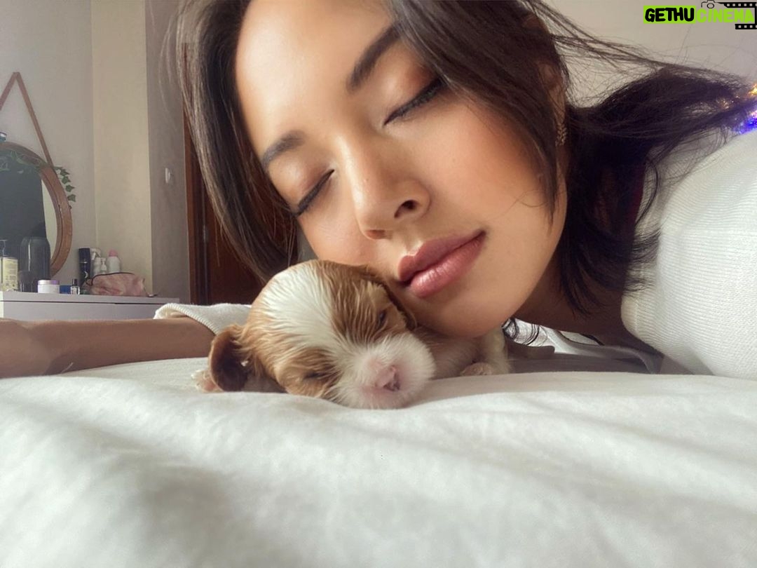 Aurélie Moeremans Instagram - Cuteness overload 🥹
