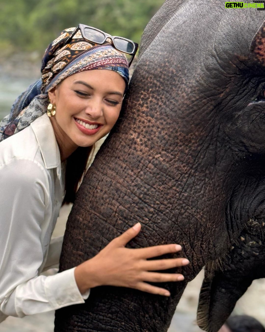 Aurélie Moeremans Instagram - Bersyukur banget atas kesempatan menjadi bagian dari perjalanan yang penuh makna di Aceh, tempat kita menyaksikan langsung konflik antara gajah dan manusia. Fakta di lapangan mengungkap betapa seriusnya konflik ini, namun kami juga menemukan benih harapan. Dengan kerja sama masyarakat, kami mulai melihat kemajuan dalam kesadaran dan aksi pelestarian. Aceh mengajarkan kami bahwa kerja sama dapat mengurangi konflik dan melindungi keberlangsungan hidup gajah. Di tengah kesulitan, harapan muncul melalui inisiatif konservasi dan edukasi bersama masyarakat. Kami optimis bahwa dengan partisipasi dan dukungan lebih banyak lagi, dampak nyata bisa terwujud. Mari kita satukan tenaga untuk masa depan yang lebih baik, bukan hanya untuk gajah tapi juga planet kita. #BerbagiRuang