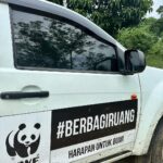 Aurélie Moeremans Instagram - Hi Aceh 🐼
