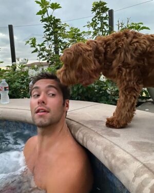 Austin North Instagram - puppers