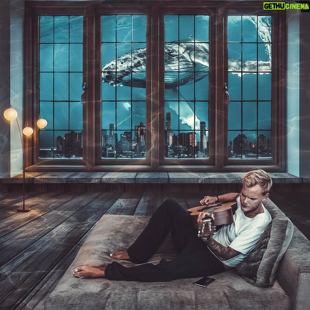 Avicii - 207K Likes - Thank you @suricts for this amazing and really cool artwork. Wish that was my real view! 🙌
