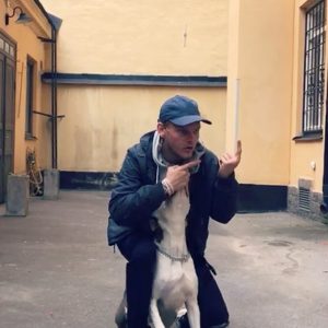 Avicii Instagram - Practice makes perfect 🐶