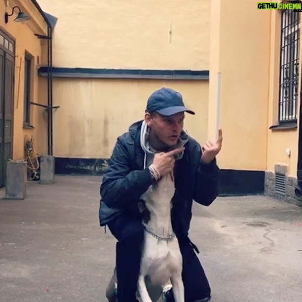Avicii - 132.8K Likes - Practice makes perfect 🐶