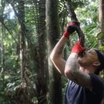 Avicii Instagram - Here is a video of me drinking water from a tree in the amazons🌳 Also, really glad that my EP is peaking nr 1 in 42 countries on APPLE /iTunes 🙏❤ #avicii2017