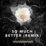 Avicii Instagram - @sandrocavazza when I first heard your song “So Much Better” I knew I had to do a remix. Love you man! Just 1 day left, pre-save on Spotify (link in bio) 🤙👊 #avicii2017