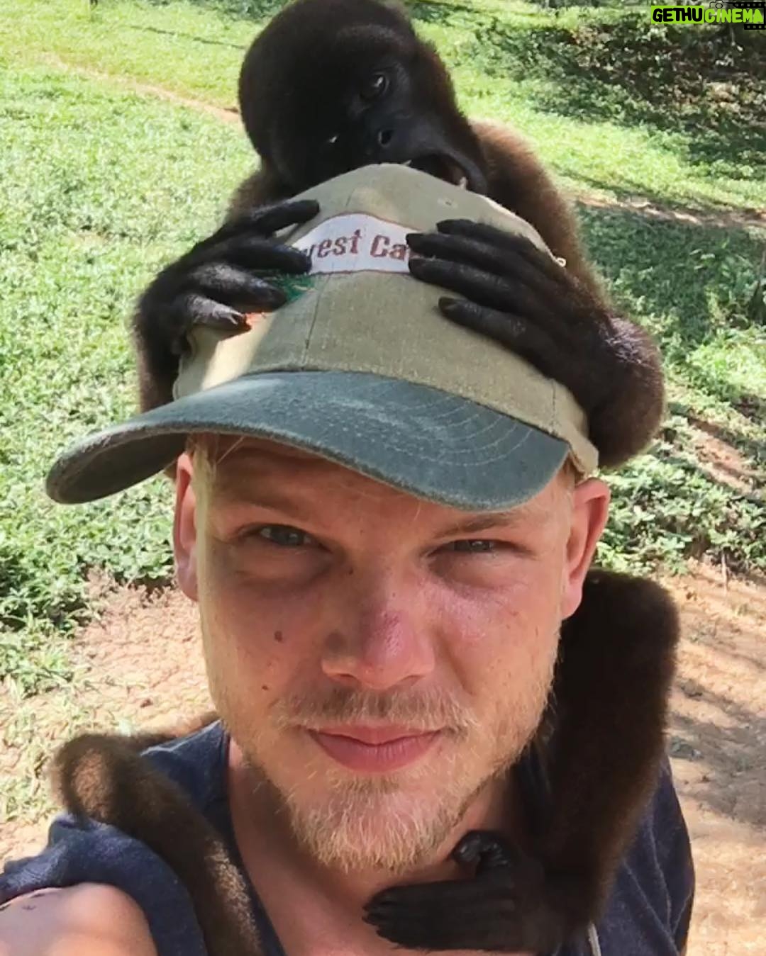 Avicii - 165.1K Likes - #oldfriends