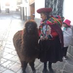 Avicii Instagram - #newfriend Cusco, Peru