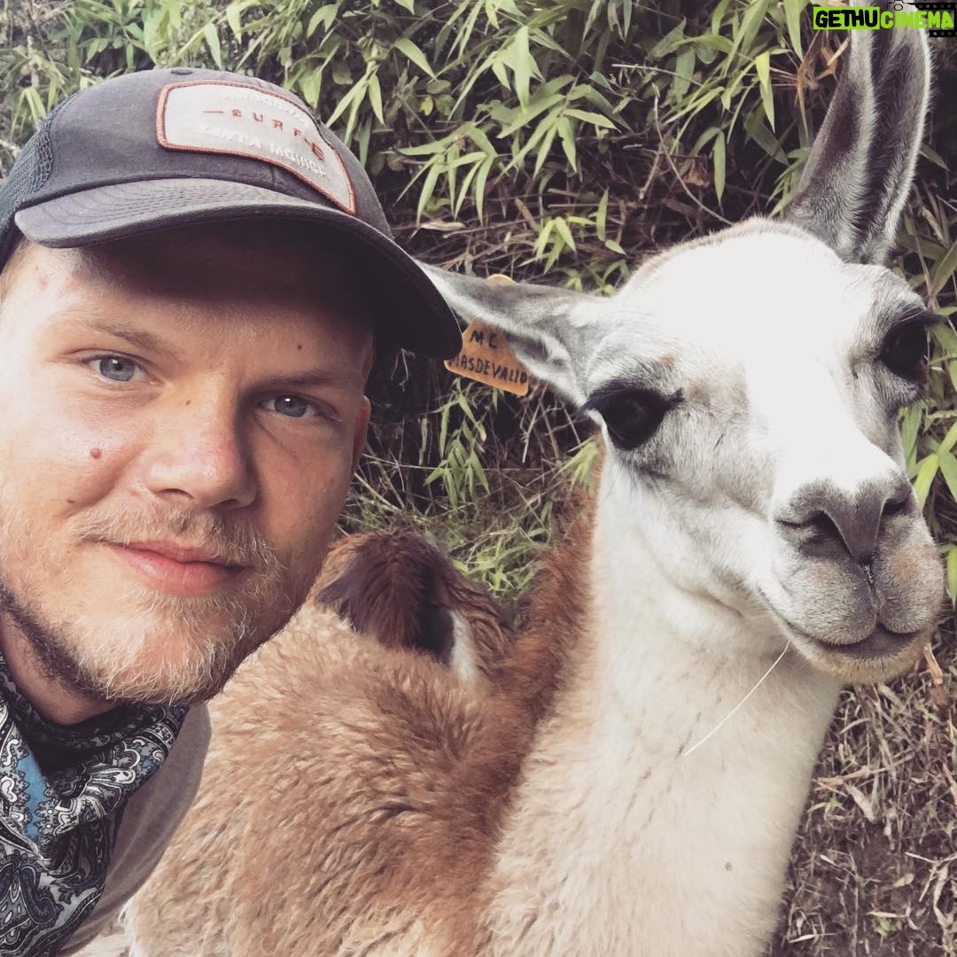 Avicii - 144.6K Likes - #newfriends #twins