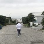 Avicii Instagram - Walking le dog