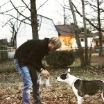 Avicii Instagram - They grow so fast 🐶