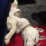Avicii Instagram - That looks semi comfortable 😄