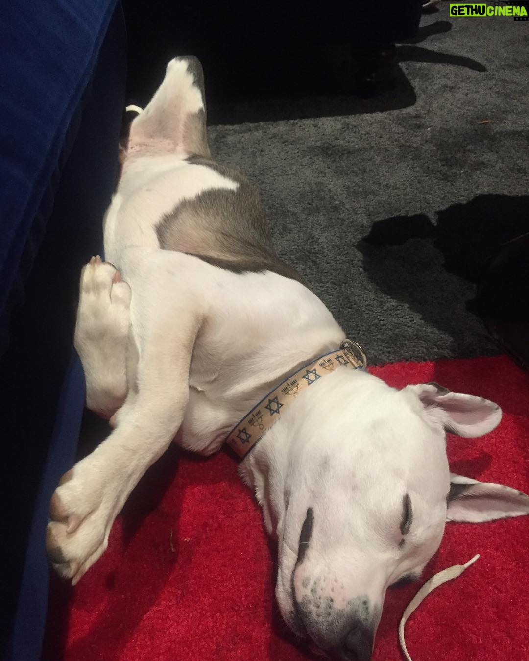 Avicii Instagram - That looks semi comfortable 😄