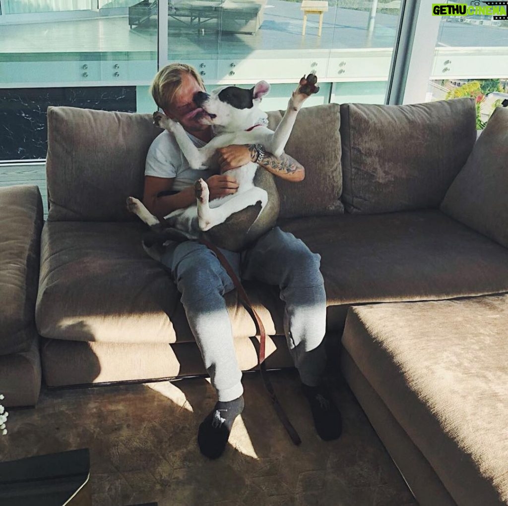 Avicii Instagram - A cuddle a day keeps the instinct away. (The hunting instinct.) (Just kidding.)