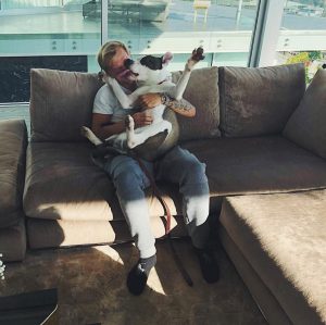 Avicii Instagram - A cuddle a day keeps the instinct away. (The hunting instinct.) (Just kidding.)