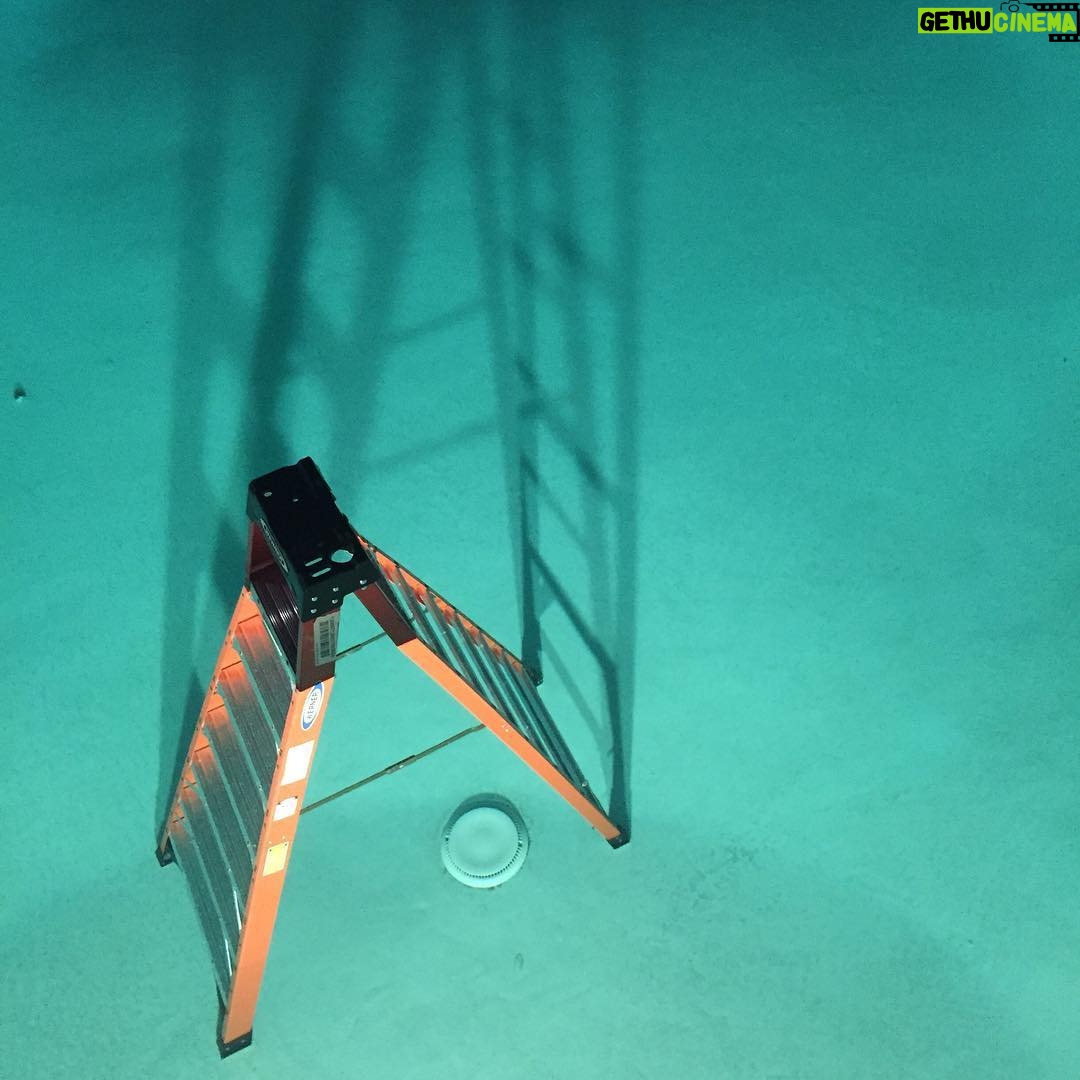 Avicii Instagram - One thing most people don't know is that pools are great for storing ladders 🙃