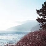 Avicii Instagram - Road trips for me is alot about the feeling of driving through artworks created by nature. This is from Big Sur in Cali. What's your best roadtrip tips? 🌲🍁🍂🌳🚌🙃