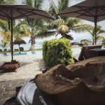 Avicii Instagram - What a lovely day to enjoy a coconut! 😋