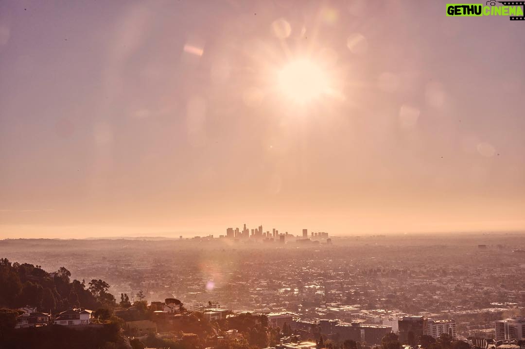 Avicii - 222.9K Likes - LA ❤ What's your favourite city?