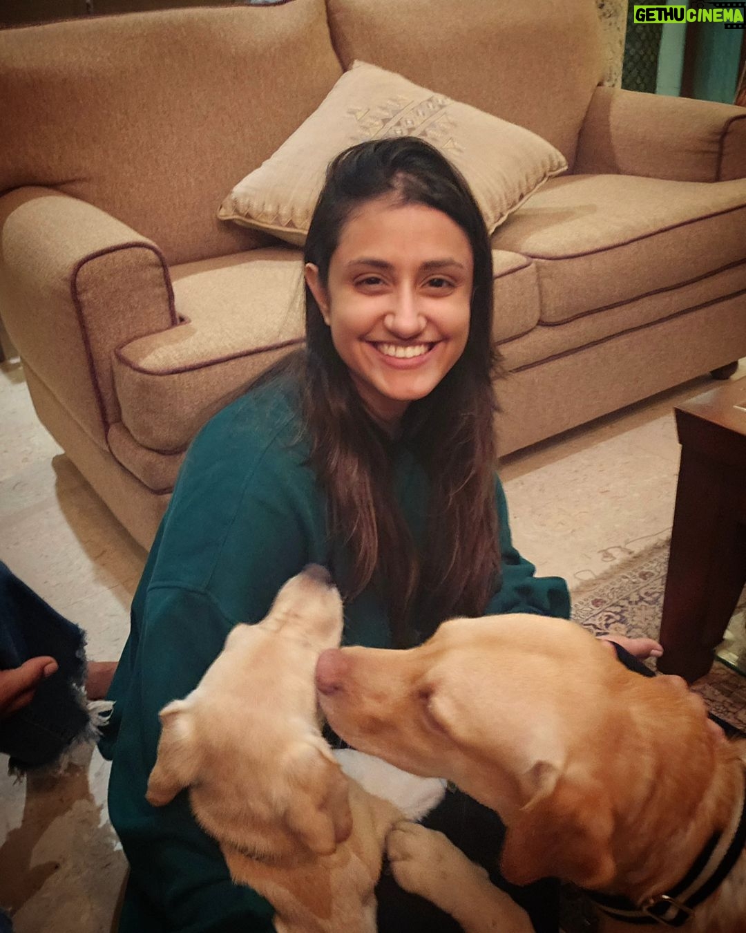 Avika Gor Instagram - Maasi loves you Rambo✨ Also, happy birthday new momma @krishnavbhatt 💖