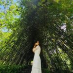 Avika Gor Instagram - @milindchandwani showing off his photography skills 💚 Which one did you like? I’m obsessed with the last one🥰 #Vietnam #avikagor