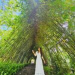 Avika Gor Instagram - @milindchandwani showing off his photography skills 💚 Which one did you like? I’m obsessed with the last one🥰 #Vietnam #avikagor