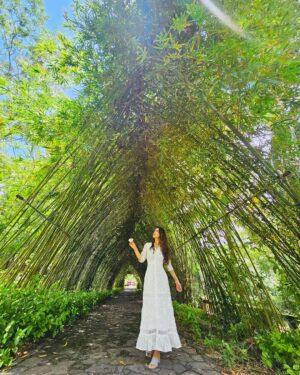 Avika Gor Instagram - @milindchandwani showing off his photography skills 💚

Which one did you like? 
I’m obsessed with the last one🥰

#Vietnam #avikagor