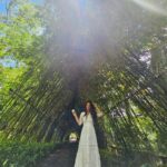 Avika Gor Instagram - @milindchandwani showing off his photography skills 💚 Which one did you like? I’m obsessed with the last one🥰 #Vietnam #avikagor
