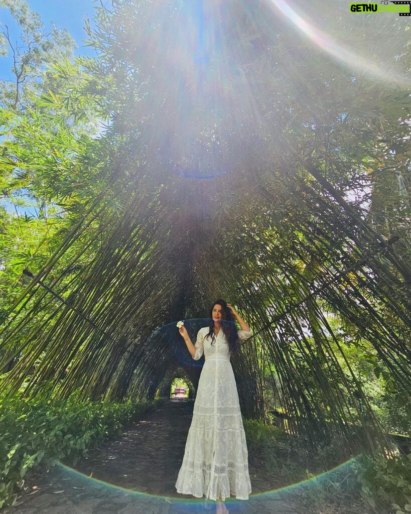 Avika Gor Instagram - @milindchandwani showing off his photography skills 💚 Which one did you like? I’m obsessed with the last one🥰 #Vietnam #avikagor