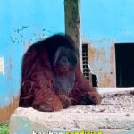 Babe Cabiita Instagram - Kalau sudah begini kepada siapa harus mengadu? Semoga segera diperhatikan dan mendapat jalan keluar..