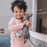 Babe Cabiita Instagram - Kucing cewek dekil item kurus kecil namun sederhana dan baik hati ini diberi nama NURUL. Apakah kalian punya teman yang namanya nurul? Orgnya baikkan? #sphynx #catlovers #sphynxcat #sphynxjakarta #sphynkitten #kucingindonesia