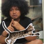 Babe Cabiita Instagram - Terimakasih buat @arthacat_id atas suportnya untuk anabul anabul eike!