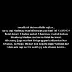Babe Cabiita Instagram - Kalau gak bisa ngerawat, kasih sama yg bisa merawat. Jangan dikandang tapi ga dirawat dengan baik. Banyak sultan yg mau ngerawat dan lebih punya hati.