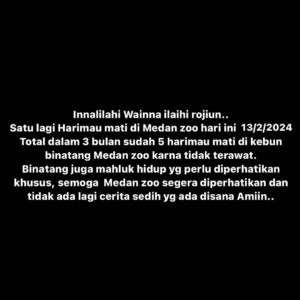 Babe Cabita Instagram - Kalau gak bisa ngerawat, kasih sama yg bisa merawat. Jangan dikandang tapi ga dirawat dengan baik. Banyak sultan yg mau ngerawat dan lebih punya hati.